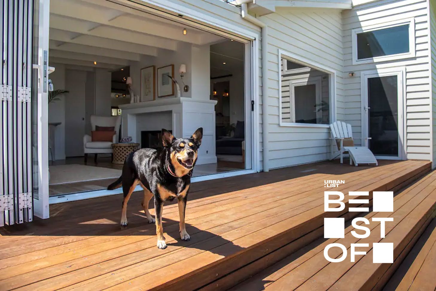 best pet-friendly airbnbs and accommodation near sydney in nsw